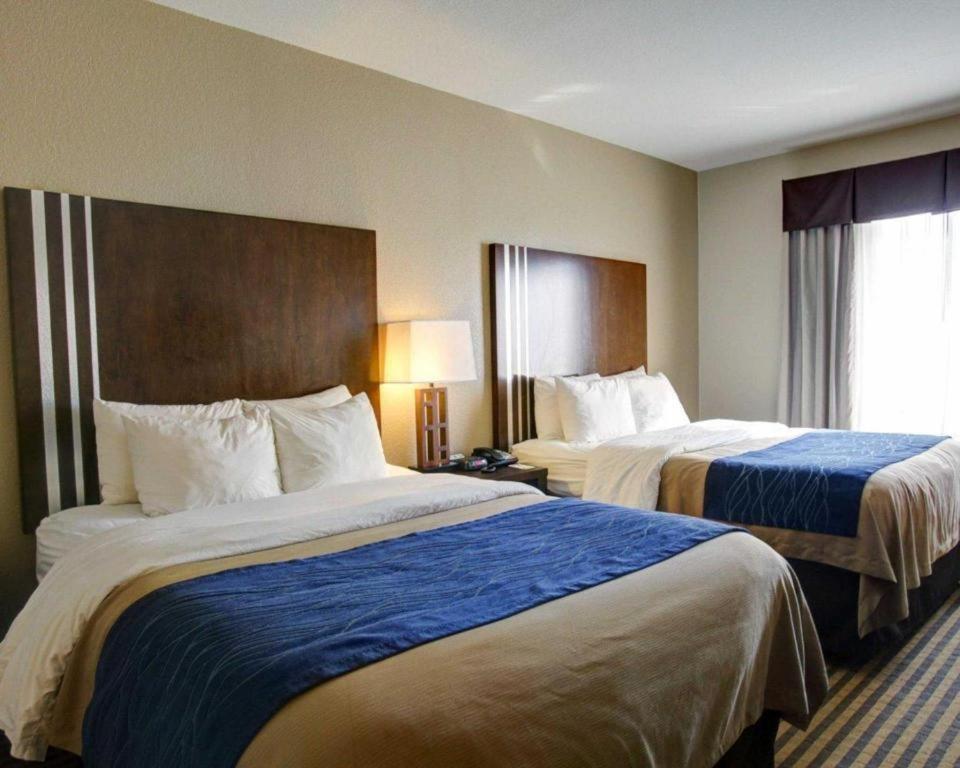 Comfort Inn & Suites Navasota Luaran gambar