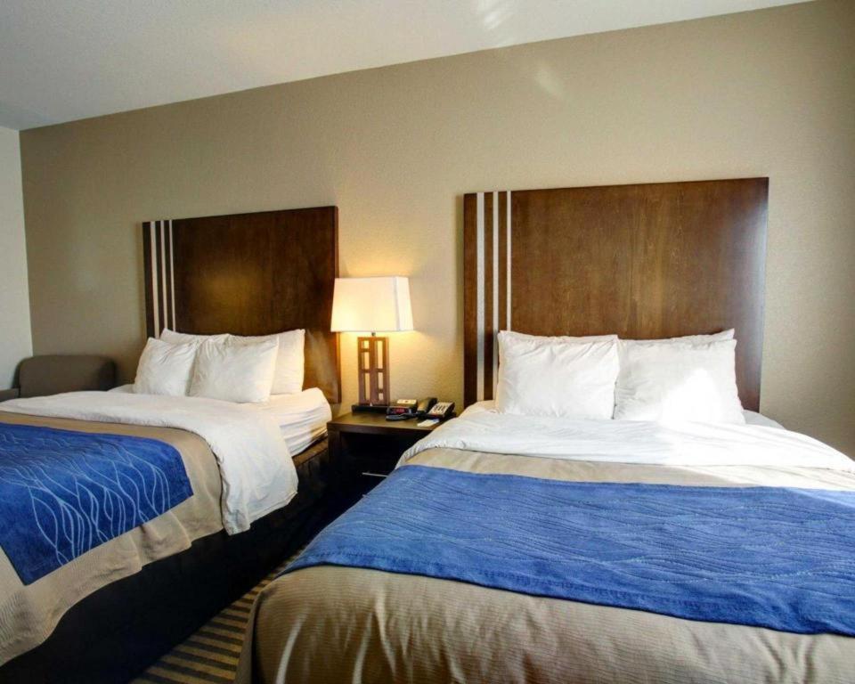 Comfort Inn & Suites Navasota Luaran gambar