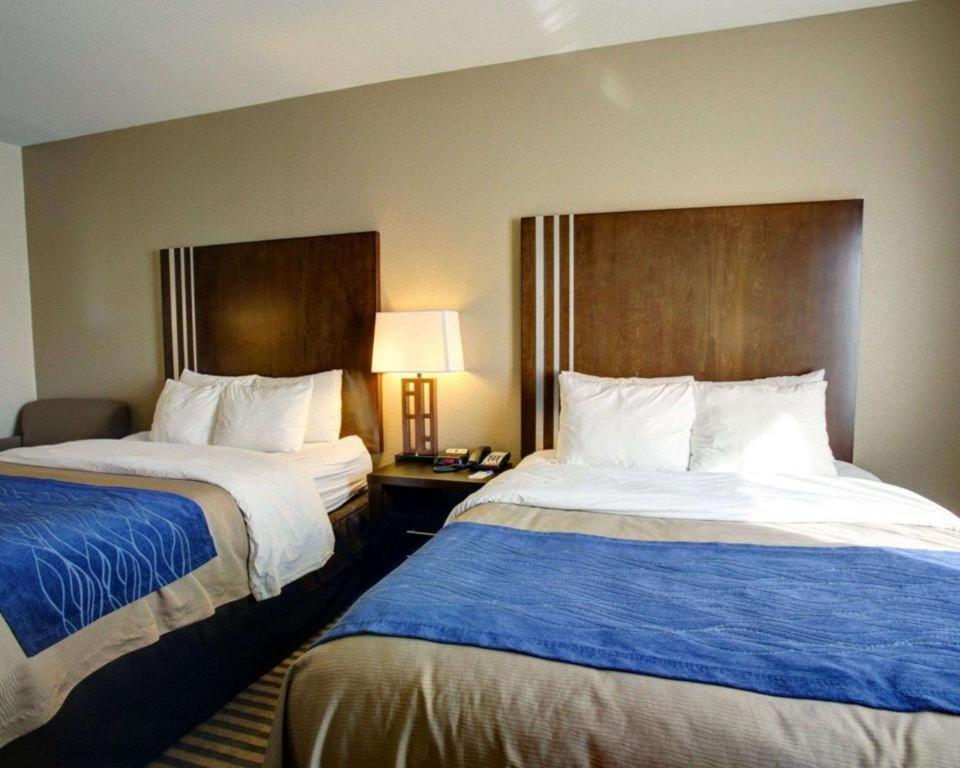 Comfort Inn & Suites Navasota Luaran gambar