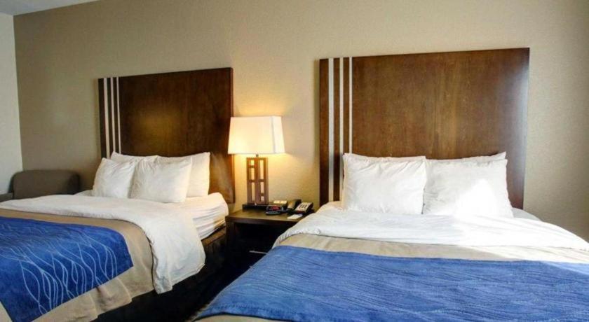 Comfort Inn & Suites Navasota Luaran gambar