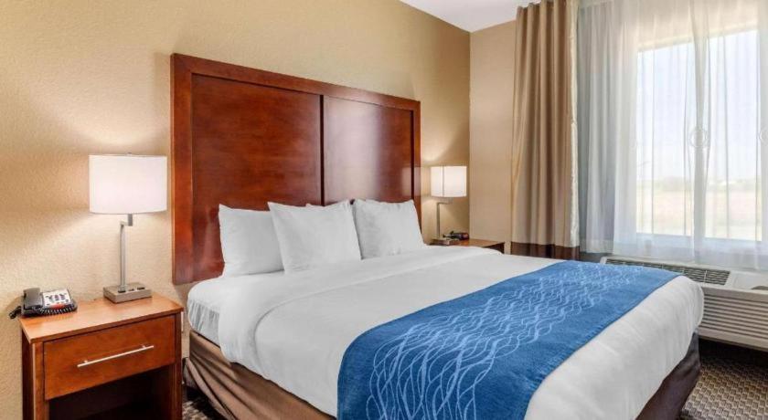 Comfort Inn & Suites Navasota Luaran gambar
